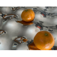 Stefano Giovannoni Alessi Fruitscape